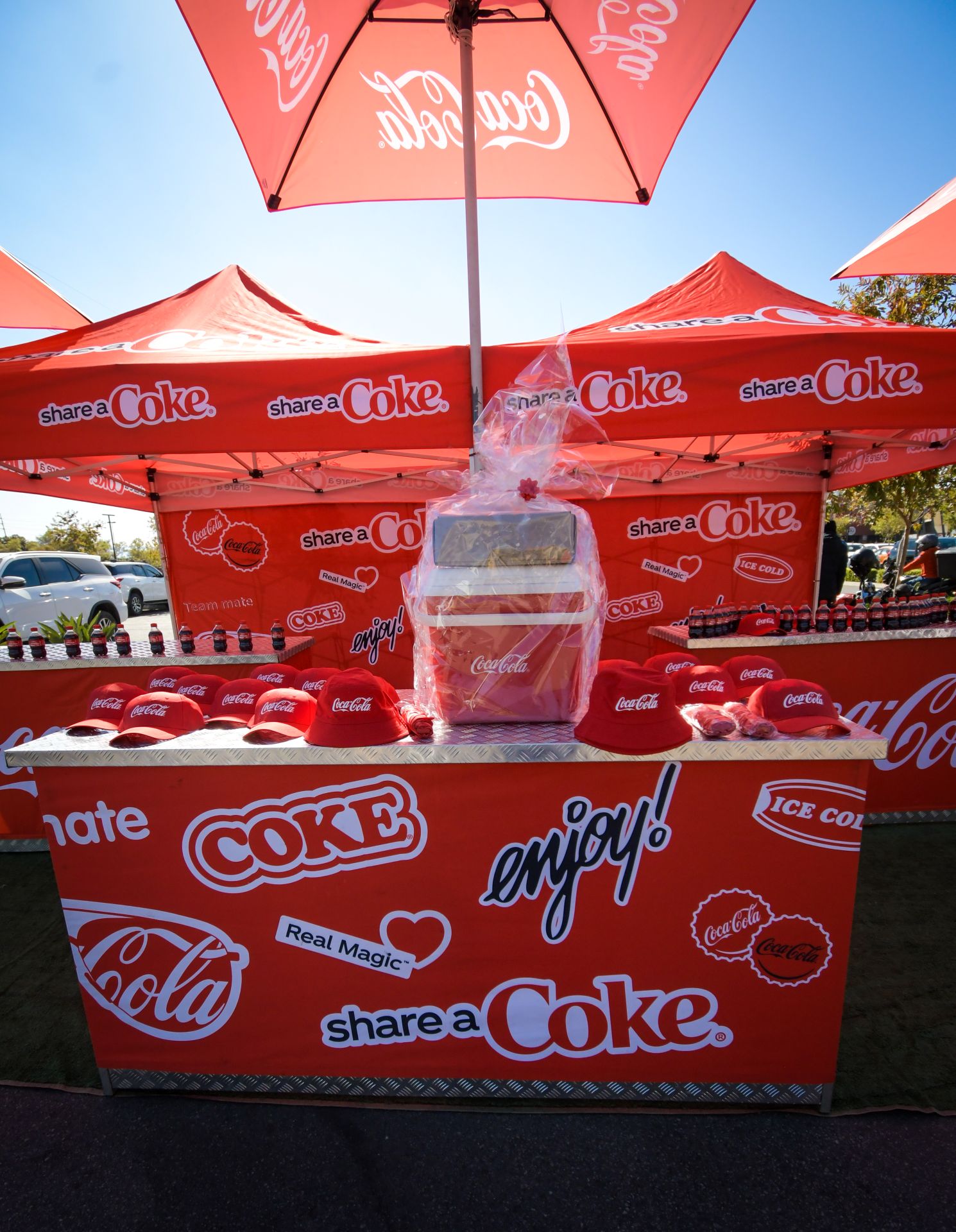 Coca-Cola Campaign